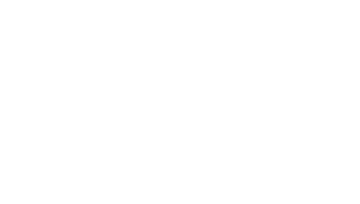 Castle Hills logo in white